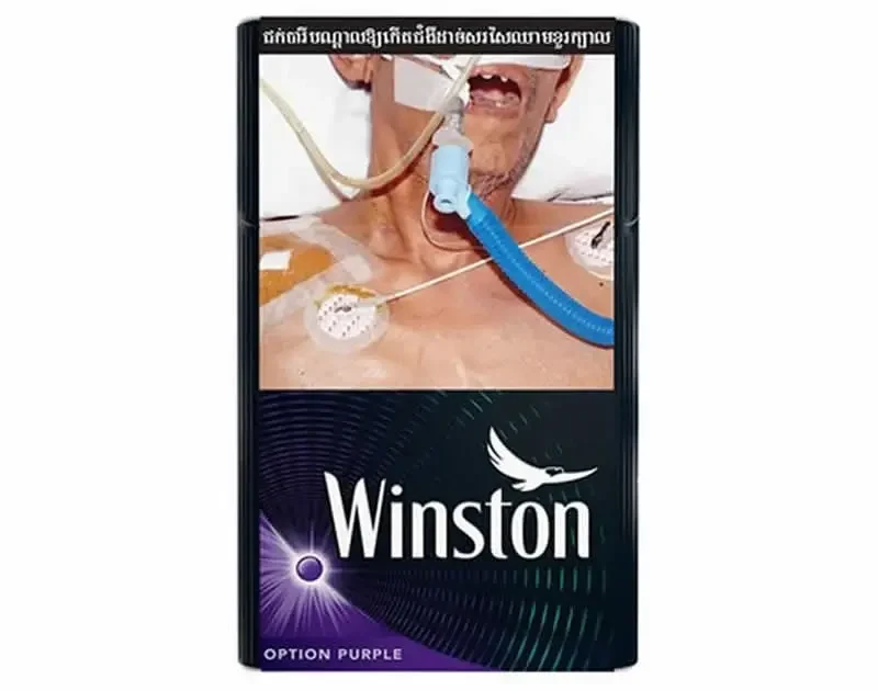 Winston Option Purple